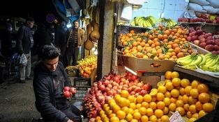 آغاز توزیع میوه شب عید در مشهد و خراسان رضوی از فردا (۲۵ اسفند ۱۴۰۴)