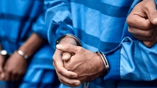 رمزگشایی از ۱۳ فقره سرقت احشام در استان خراسان رضوی