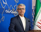 بقایی: تأمین امنیت مرزهای شرقی نیازمند همکاری مستمر ایران، افغانستان و پاکستان است