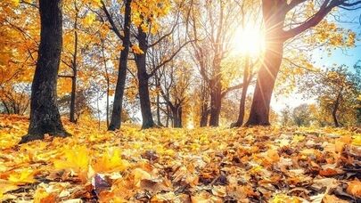آفتاب، مهمان روزهای آینده مشهد