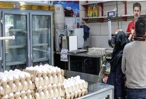 قیمت امروز گوشت، مرغ و تخم مرغ در مشهد