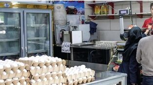 قیمت امروز گوشت، مرغ و تخم مرغ در مشهد