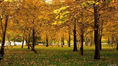 بارندگی قابل‌توجهی در روزهای آینده مشهد پیش‌بینی نمی‌شود
