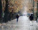 مشهد سردتر می‌شود