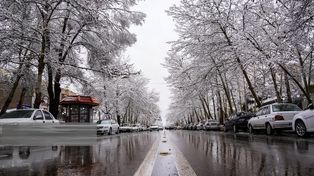 برف بامدادی، هوای آلوده مشهد را تازه کرد