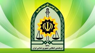 کشف بزرگترین محموله مرغ منجمد احتکاری توسط پلیس مشهد
