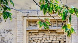 پیش‌بینی هواشناسی مشهد و خراسان رضوی