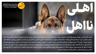 اهلی نااهل