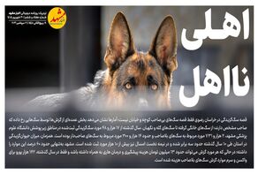اهلی نااهل