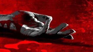 عمل بینی دختر 17 ساله باعث کشته شدن توسط پدرش شد