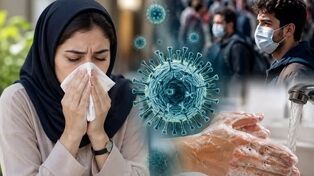 کرونا در مشهد فعلاً در محدوده هشدار نیست
