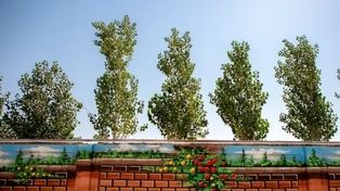 اسکان بیش از ۱۱ هزار نفر از زائران در مدارس خراسان رضوی (۵ فروردین ۱۴۰۵)