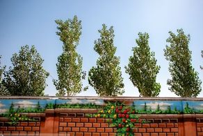 اسکان بیش از ۱۱ هزار نفر از زائران در مدارس خراسان رضوی (۵ فروردین ۱۴۰۵)