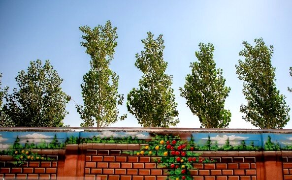 اسکان بیش از ۱۱ هزار نفر از زائران در مدارس خراسان رضوی (۵ فروردین ۱۴۰۵)