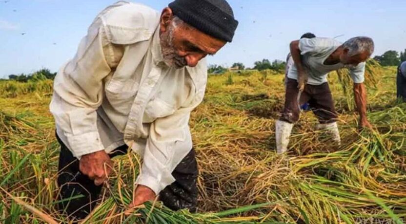 جزئیات بازنشستگی  با 10  سال بیمه 
