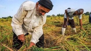 جزئیات بازنشستگی  با 10  سال بیمه 