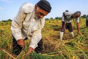 جزئیات بازنشستگی  با 10  سال بیمه 