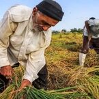 جزئیات بازنشستگی  با 10  سال بیمه 