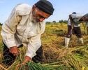 جزئیات بازنشستگی  با 10  سال بیمه 