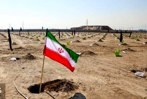 کاشت ۱۰۰۰ اصله درخت در بوستان کرامت مشهد به‌مناسبت روز درخت‌کاری ۱۴۰۴