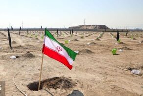کاشت ۱۰۰۰ اصله درخت در بوستان کرامت مشهد به‌مناسبت روز درخت‌کاری ۱۴۰۴