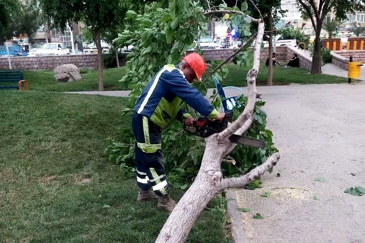 طوفان و باران شدید در مشهد؛ ۷۱ درخت فرو افتادند و ۳۴ نقطه دچار آب‌گرفتگی شد (۲۷ خرداد ۱۴۰۵)