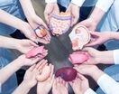 ۴۷۹ مورد پیوند عضو از ابتدای سال در مشهد