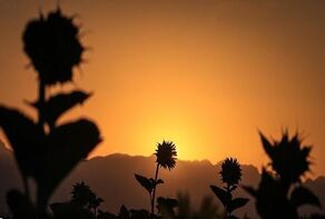 پیش‌بینی هواشناسی مشهد و خراسان رضوی