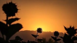 پیش‌بینی هواشناسی مشهد و خراسان رضوی