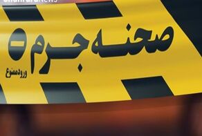 قتل همسایه در پی تعرض به همسر