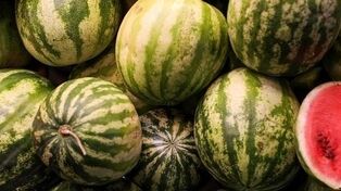 قیمت امروز میوه در مشهد (شنبه ۲۰ تیر ۱۴۰۵) | هندوانه و خربزه کیلویی چند؟