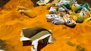 کشف ۱۶ تن ادویه تقلبی و ۱۴ تن مواد اولیه غیربهداشتی در مشهد