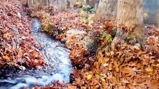 مناطق گردشگری کلات ۲ روز تعطیل شد