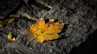 پیش‌بینی هواشناسی مشهد و خراسان رضوی امروز