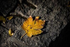 پیش‌بینی هواشناسی مشهد و خراسان رضوی امروز