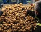 نوسان قیمت صیفی‌جات در بازار مشهد | سیب‌زمینی و پیاز در صدر لیست کالا‌های پرمصرف