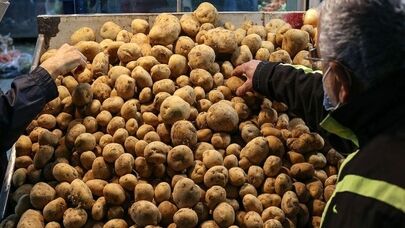 نوسان قیمت صیفی‌جات در بازار مشهد | سیب‌زمینی و پیاز در صدر لیست کالا‌های پرمصرف