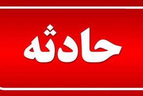 دستگیری عامل شوهرکشی به بهانه کمبود محبت توسط پلیس مشهد + عکس