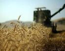 استحصال ۵۵۶ هکتار و شناسایی ۳۸۰۰ هکتار از اراضی بزرگ‌مقیاس مشهد