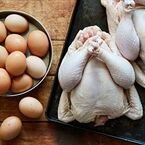 قیمت امروز گوشت، مرغ و ماهی در مشهد/ تخم‌مرغ سر به فلک کشید