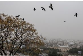 پیش‌بینی هواشناسی مشهد و خراسان رضوی امروز (پنجشنبه، ۱۴ اسفند ۱۴۰۴) | افزایش نسبی دمادر روز‌های ابتدای هفته آینده