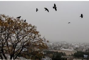 پیش‌بینی هواشناسی مشهد و خراسان رضوی امروز (پنجشنبه، ۱۴ اسفند ۱۴۰۴) | افزایش نسبی دمادر روز‌های ابتدای هفته آینده