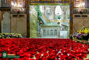 بررسی موجودی و قیمت بلیت هواپیما در سالروز ولادت امام رضا (ع) به مشهد از مراکز استان‌ها (۹ اردیبهشت ۱۴۰۵)