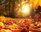 افزایش دمای هوا در پیش است