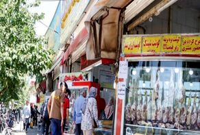 کاهش قیمت گوشت مرغ با توزیع مرغ منجمد در خراسان رضوی | بازار مرغ کنترل شد