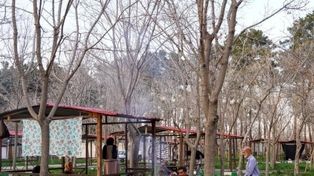 میزبانی از حدود ۶۰ هزار نفر در بوستان زائرپذیر غدیر مشهد از ۲۵ اسفند ۱۴۰۴ تا ۱۴ فروردین ۱۴۰۵