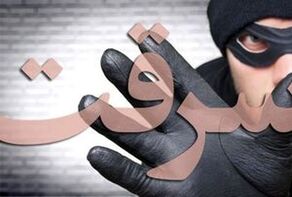  ویدئوی وایرال شده از سرقت موبایل یک پاکبان در مشهد