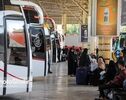 نرخ بلیت اتوبوس‌های ویژه اربعین ۱۴۰۵ از مشهد به پایانه‌های مرزی کشور چقدر است؟