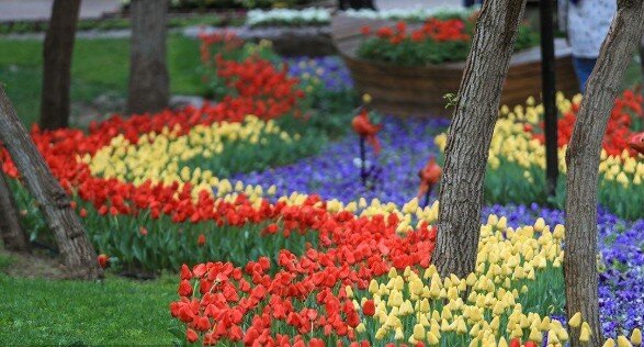 برگزاری جشنواره گل در پیشخان «سلام» پایانه مسافربری امام‌رضا(ع) مشهد برای استقبال از زائران
