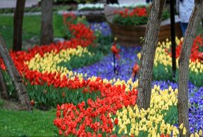 برگزاری جشنواره گل در پیشخان «سلام» پایانه مسافربری امام‌رضا(ع) مشهد برای استقبال از زائران